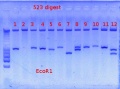 Thumbnail for version as of 10:45, 19 March 2012