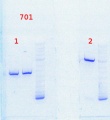 Thumbnail for version as of 11:49, 21 October 2013