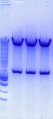 Thumbnail for version as of 14:50, 14 November 2010