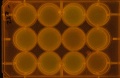 Thumbnail for version as of 11:23, 15 February 2011
