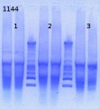 Thumbnail for version as of 15:10, 8 March 2013