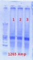 Thumbnail for version as of 15:12, 13 July 2012
