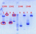 Thumbnail for version as of 14:53, 12 September 2012
