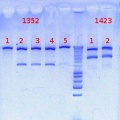 Thumbnail for version as of 13:10, 15 October 2012