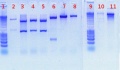 Thumbnail for version as of 11:59, 12 July 2011