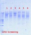 Thumbnail for version as of 12:45, 7 August 2012
