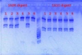 Thumbnail for version as of 14:40, 16 January 2013