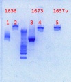 Thumbnail for version as of 15:52, 12 March 2013