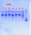 Thumbnail for version as of 17:28, 14 January 2014