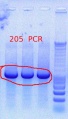 Thumbnail for version as of 15:09, 3 November 2011