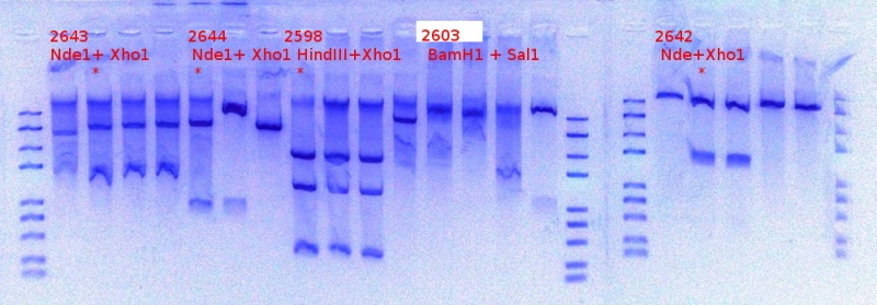File:2642 2643 2644 2598 2603.JPG
