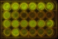 Thumbnail for version as of 10:05, 1 November 2014