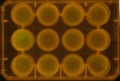 Thumbnail for version as of 11:55, 29 November 2011