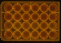 Thumbnail for version as of 16:58, 8 April 2016