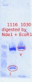 Thumbnail for version as of 15:41, 4 May 2012