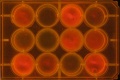 Thumbnail for version as of 10:56, 17 November 2011