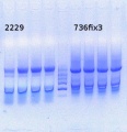 Thumbnail for version as of 17:27, 30 January 2015