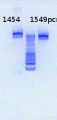 Thumbnail for version as of 09:48, 1 April 2013