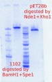 Thumbnail for version as of 13:52, 26 April 2012