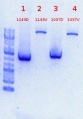 Thumbnail for version as of 10:29, 7 June 2012