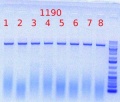Thumbnail for version as of 15:36, 29 May 2012