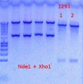 Thumbnail for version as of 13:37, 14 November 2012