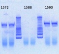 Thumbnail for version as of 15:06, 7 February 2013