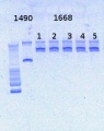 Thumbnail for version as of 17:13, 27 February 2013