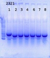 Thumbnail for version as of 18:15, 2 December 2014