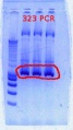Thumbnail for version as of 11:29, 8 February 2012