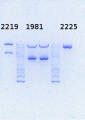 Thumbnail for version as of 09:55, 15 September 2014