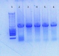 Thumbnail for version as of 14:24, 15 July 2016