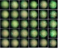 Thumbnail for version as of 13:43, 1 April 2016