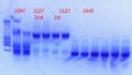 Thumbnail for version as of 18:57, 16 January 2013