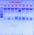 Thumbnail for version as of 13:08, 29 May 2012