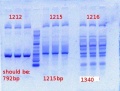 Thumbnail for version as of 09:52, 11 June 2012