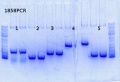 Thumbnail for version as of 13:19, 21 October 2013