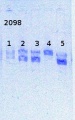 Thumbnail for version as of 11:12, 17 March 2014