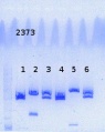 Thumbnail for version as of 13:34, 3 November 2014