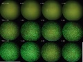 Thumbnail for version as of 18:15, 26 April 2011