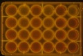 Thumbnail for version as of 15:48, 31 March 2016