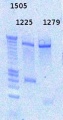 Thumbnail for version as of 12:18, 12 December 2012