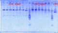 Thumbnail for version as of 09:04, 12 September 2012