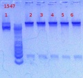 Thumbnail for version as of 14:58, 31 January 2013