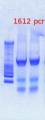 Thumbnail for version as of 16:12, 25 January 2013
