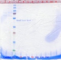 Thumbnail for version as of 17:24, 5 June 2013