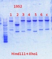 Thumbnail for version as of 14:10, 16 December 2013