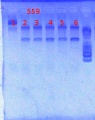 Thumbnail for version as of 13:14, 8 May 2013