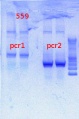 Thumbnail for version as of 14:06, 10 May 2013