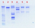 Thumbnail for version as of 13:53, 21 July 2011